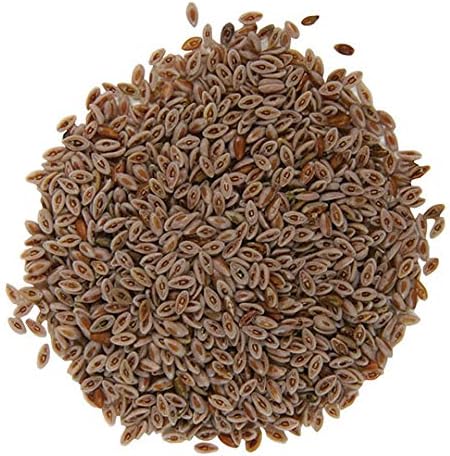 Frontier Co-op Organic Whole Psyllium Seed 1lb
