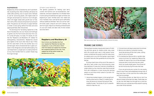 Grow Your Own Mini Fruit Garden: Planting And Tending Small Fruit Trees And Berries In Gardens And Containers #TOP5