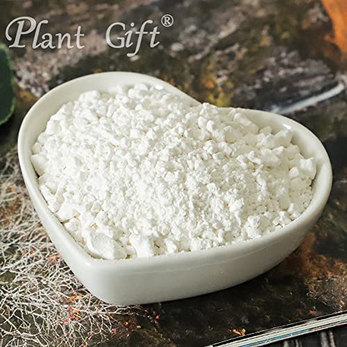 Plant Gift 100% Pure Water Chestnut Powder 马蹄粉 Natural Water chestnut flour, Great Flavor for Drinks, Smoothie, cakes and Beverages, Non-GMO Powder, No Filler, No additives 100G/3.25oz