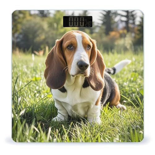 Báscula digital con diseño Basset Hound y vidrio templado miniatura 1