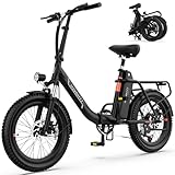 Full Suspension with Fat Tires - The front suspension is located on the front fork and absorbs shock from the front wheel, while the seat suspension absorbs shock from the rear wheel. Combined with 20"*3" fat tires - offers you a comfortable, stable,...