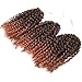 Silike 8'' Mali Bob Braiding Hair Ombre Jerry Curl (3 Bundles/pack) Marlybob Crochet Braiding Hair Afro Kinky Curl Braids Hair Extension(T 1B/30)