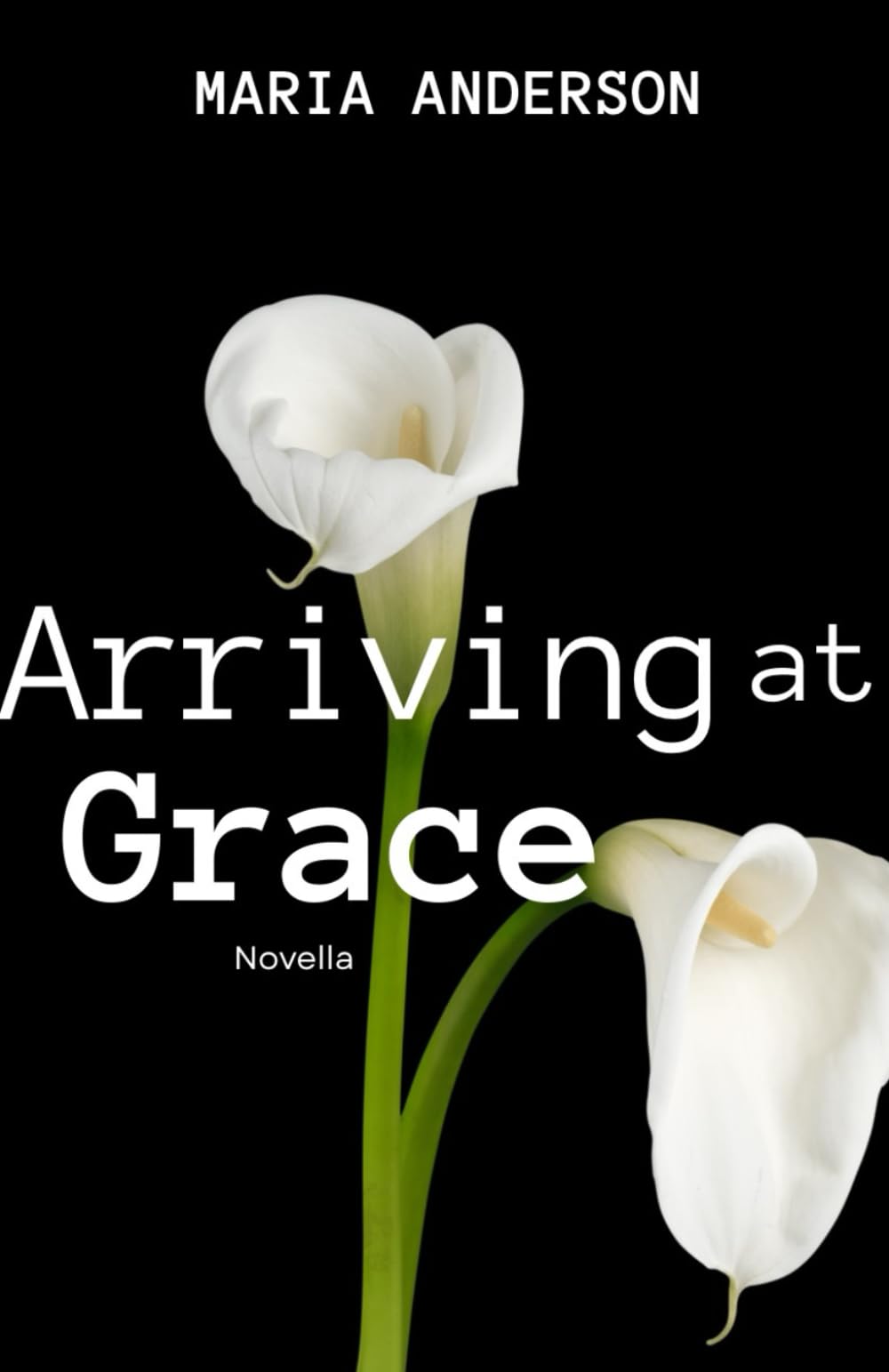 Arriving at Grace (The Other Side of Fear Trilogy)