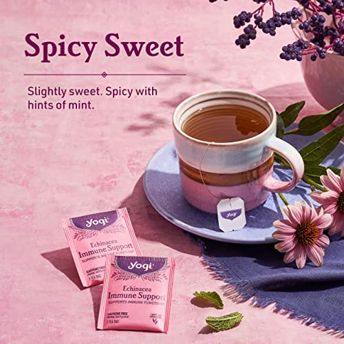 Yogi Tea - Echinacea Immune Support (6 Pack) - Supports Immune Function With Elderberry And Mullein - Caffeine Free - 96 Organic Herbal Tea Bags #TOP3