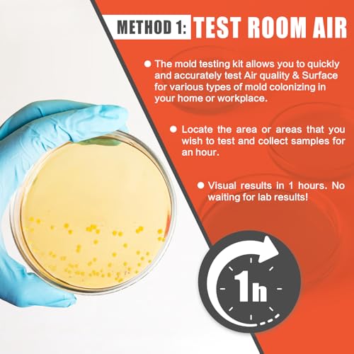 Mold Testing Kit for Home Air Quality - Test 10 Room, DIY Home Mold Detector Kit, Home Air & Surface, HVAC Indoor Quick Mold Testing Kit for Home, Identification & Remove Guide Included