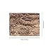Toddmomy Terrarium Cork Bark: 4Pcs Reptile Tree Bark 20X15cm Hideout Climbing Platform for Snakes Lizards Terrarium Aquarium Decoration Tank Accessories‌