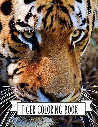 Tiger Coloring Book: Coloring Toy Gifts for Kids or Adults | Cute Easy and Relaxing Realistic Animal Large Print Birthday Gifts