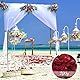 Blütenkonfetti Hochzeit 200g, 100% Blütenblätter, Natürliche Getrocknete Rosenblätter Biologisch Konfetti Rose für Geburtstag Vorschlag Party Feiern -umweltfreundlich und Abbaubar (200)