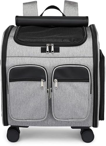 AZIEBAY ybgpg[P[X L[bN ܂肽ݎ e LX^[t ^ Lp o s ʉ@ U h ubN