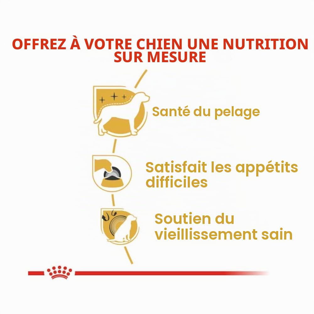 Royal Canin Yorkshire Terrier Adult | Pack de 4 | 4 x 500 g | Croquettes pour Yorkshire Terrier Adulte | A partir de 10 Mois | pour Aider à Vieillir en Bonne santé