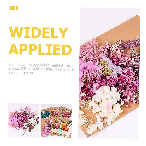 Kit de Flores Secas DIY para Manualidades y Decoración miniatura 4