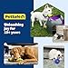 PetSafe Busy Buddy Toys Dog Treat Refills (60 Refills) Dog Treats Medium, Dogs Rawhide and Peanut Butter Flavors, Keeps Your Furry Friend Engaged, Resealable Bag for Freshness