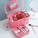 Kinsorcai 11'' Plastic Storage Box with Removable Tray, Multipurpose Organizer and Storage Case for Art Craft and Cosmetic (Pink)