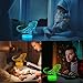POSSHE Bearded Dragon Night Light, Bearded Dragon Gifts, 3D Illusion Night Light with 16 Colors Changing, Remote Control with Timer, Kids Room Decoration for Holiday Birthday Christmas