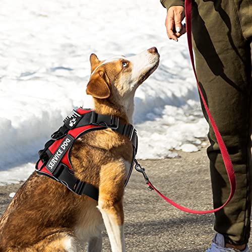 Demigreat Service Dog Harness, Reflective Dog Vest Harness With 5 Pcs Patches, Adjustable Soft Oxford Pet Harness, Inner Layer Mesh, Easy To Control For Small Medium Large Dogs #TOP6