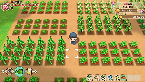 Story Of Seasons : Friends Of Mineral Town Xbox Series X - vue 4