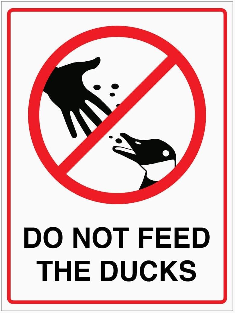 No Duck Feeding Metal Sign, Outdoor Scenic Area Public Behavior Restriction Wall Plaque 12x8 Inch