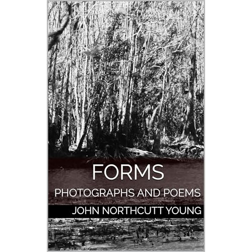 FORMS Audiolibro Por John Northcutt Young arte de portada