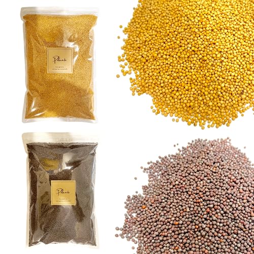 }X^[hV[h QZbg/uE}X^[hV[h 1kg/CG[}X^[hV[h 1kg/e Ɩp Y ChY Iʕi XpCX n[u h 