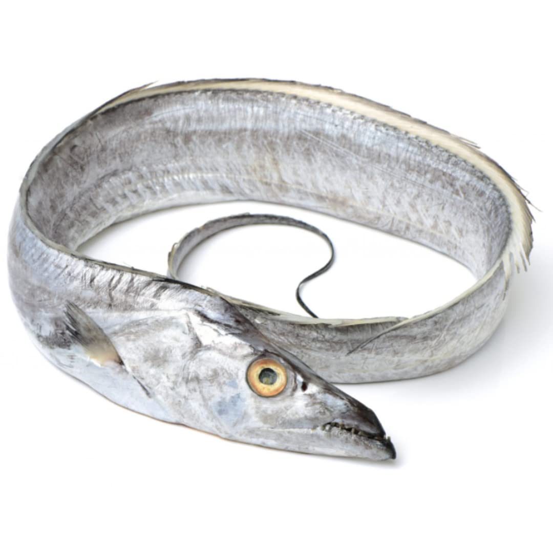 Freshly Frozen Whole Silver Ribbon Fish | 3 Units ~1kg each