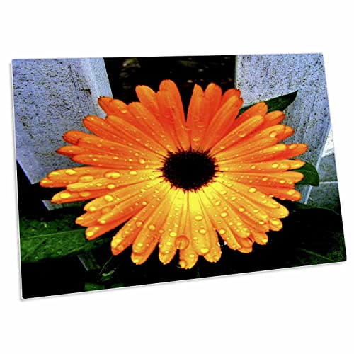 3dRose Desk Pad con diseño naranja marigold