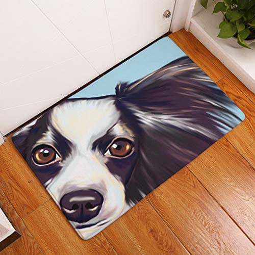 Lihan Lavable Alfombra de Piso de Cocina Diseñador Alfombra de Franela Antideslizante Alfombra Tapetes de Puerta Súper Absorbente felpudos, Perro5 40 * 60cm/16 * 24inch
