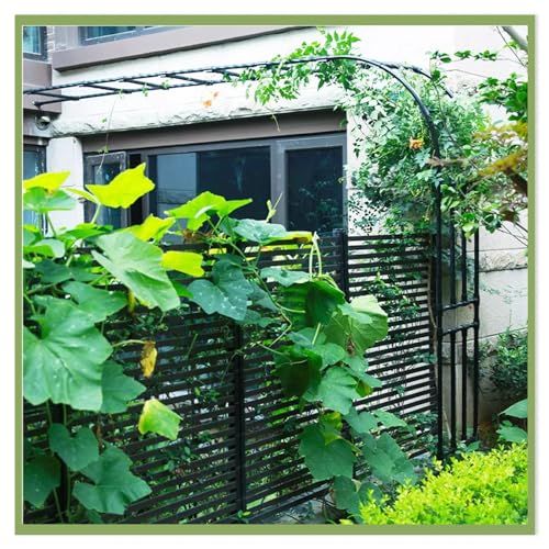 Arche de jardin en acier demi-côté treillis mural pour plantes grimpantes 180x240x40cm - 8