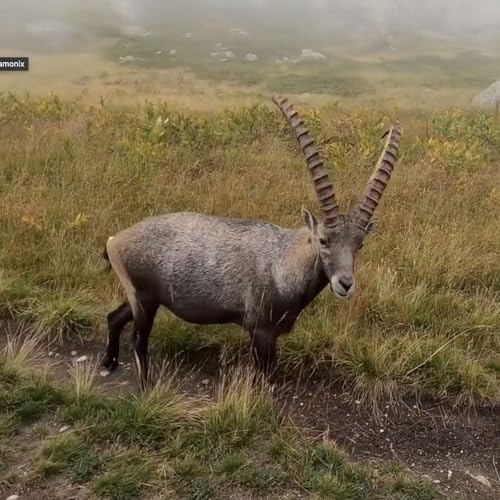 Thursday, February 12, 2026 - An early Valentine's Day present 💝 Podcast Por  arte de portada