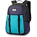 Produktbild Dakine Hadley 26L Rucksack, Morninglry