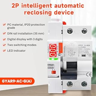 40A Salvavita con riarmo automatico Interruttore differenziale a riarmo automatico Differenziale riarmo automatico RCCB tipo A con display 220V 2P riarmo automatico in modalità auto.