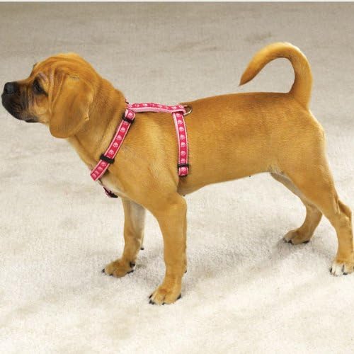 Guardian Gear 20 to 28-Inch Nylon Two Tone Pawprint Dog Harness, Green