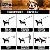 Hundeleine Nylon richtig einstellen