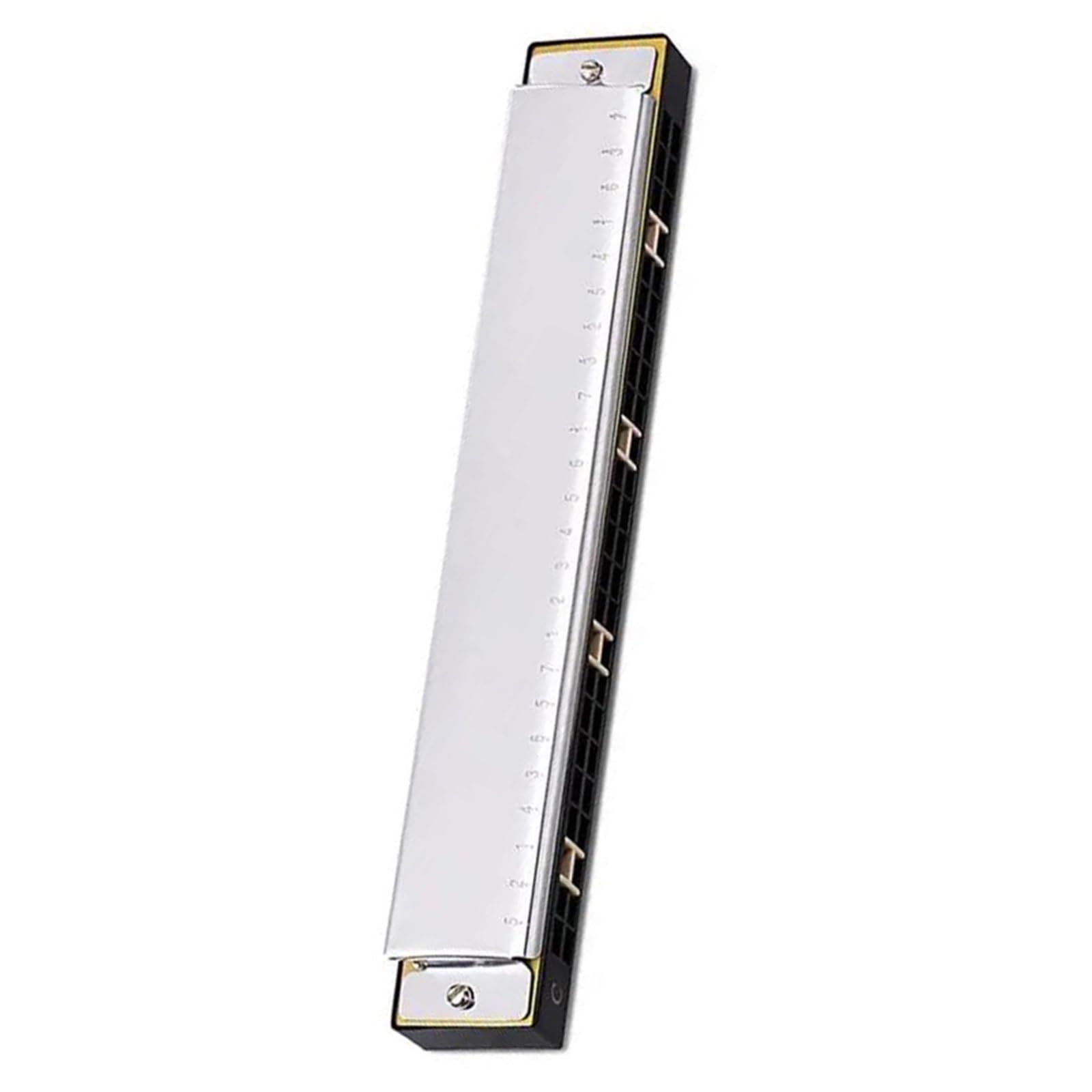 Armonica Armonica A Bocca A 24 Fori In Do Con Tremolo E Custodia Per Adulti