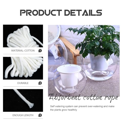 IWOWHERO 葕upRbz[v A̍ɏ ېDꂽ|pUR[h 璆\