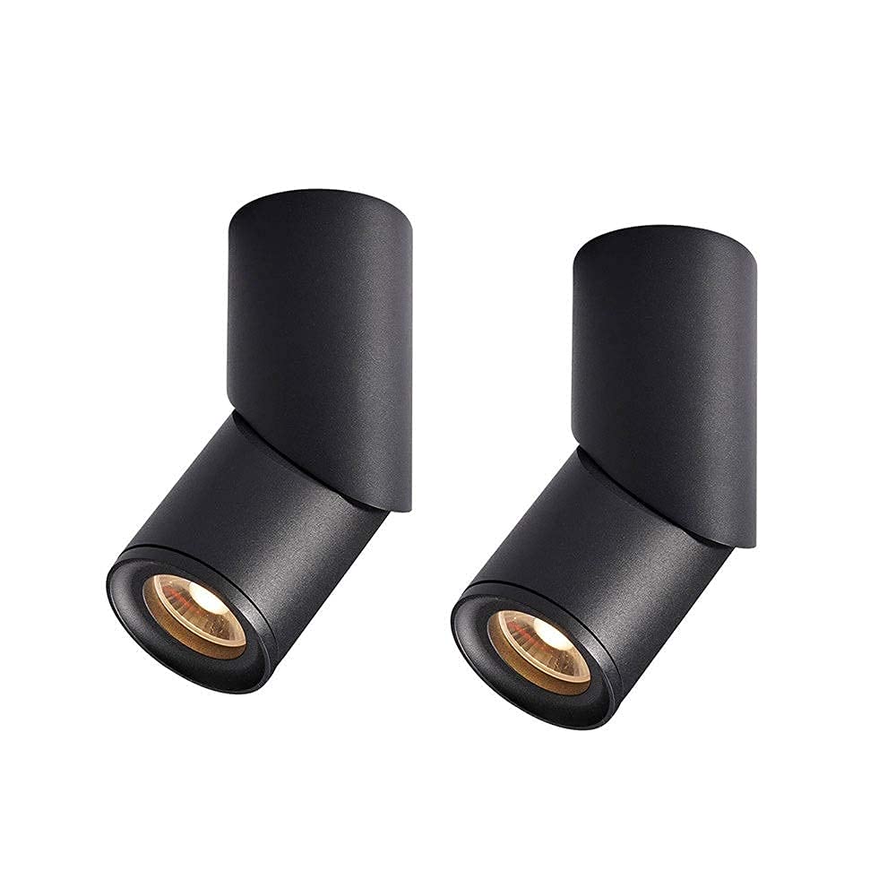 Plafonniers 12W réglables pour éclairer les pièces sombres
