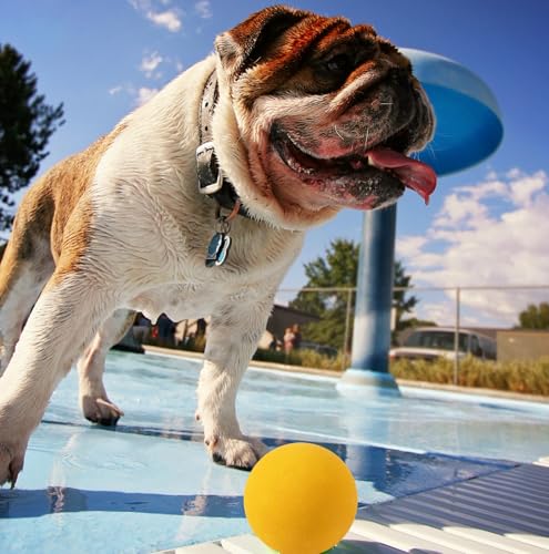 OllyDog-Happy-Camper-Ball-Solid-Rubber-Bouncy-Ball-for-Dog-Aggressive-Chewers-Natural-Rubber-for-Dogs-Under-50lbs-25-Inches-Diameter-Mango