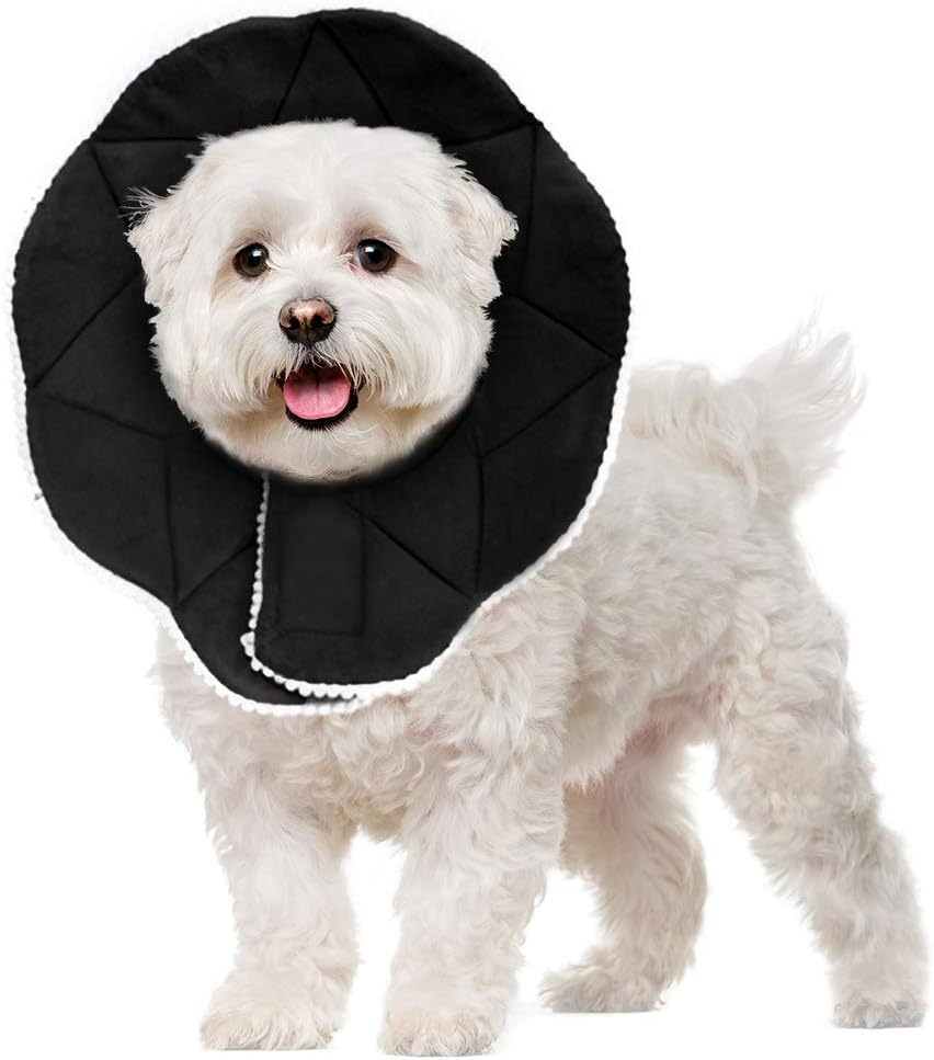 dog pillow collar