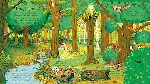 Look Inside the Woods - Image 2