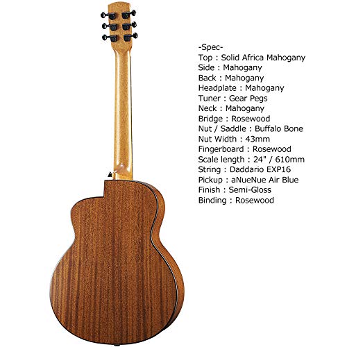 Amazon.co.jp: aNueNue aNN-M20E エレクトッリックアコースティック