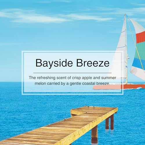 Image of Little Trees Bayside Breeze Air Freshener | Fresh Coastal Fragrance | Iconic Tree Hanging Design | For Car, Home, Wardrobe | Imported from USA
