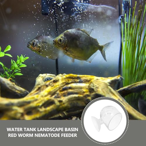 Vasos de alimentación acrílicos transparentes para peces pequeños y plantas de acuario 8