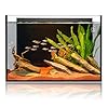 6 Gallon Glass Fish Tank 5 Gallon, Small Aquarium Fish Bowl Cube for Betta Goldfish Snails Shrimp Aquatic Planting, Easy to Maintain Ultra Clear Rimless Design Low Iron