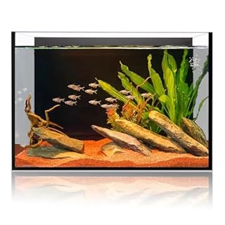 6 Gallon Glass Fish Tank 5 Gallon, Small Aquarium Fish Bowl Cube for Betta Goldfish Snails Shrimp Aquatic Planting, Easy to Maintain Ultra Clear Rimless Design Low Iron