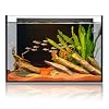 6 Gallon Glass Fish Tank 5 Gallon, Small Aquarium Fish Bowl Cube for Betta Goldfish Snails Shrimp Aquatic Planting, Easy to Maintain Ultra Clear Rimless Design Low Iron