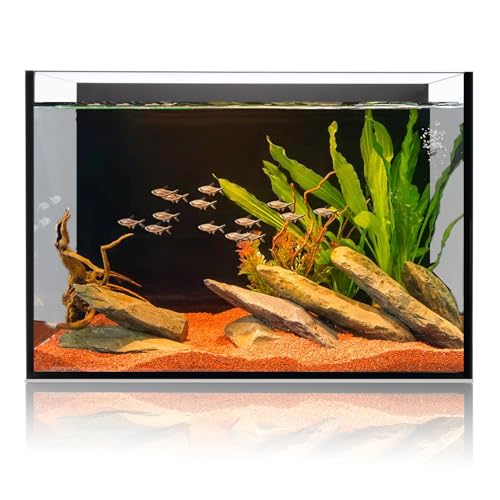 6 Gallon Glass Fish Tank 5 Gallon, Small Aquarium Fish Bowl Cube for Betta Goldfish Snails Shrimp Aquatic Planting, Easy to Maintain Ultra Clear Rimless Design Low Iron