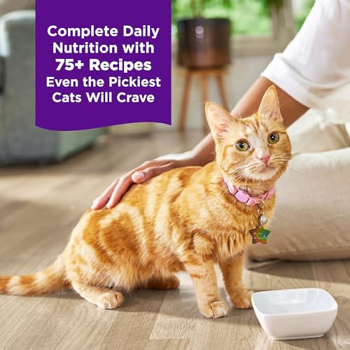 Image of Wellness Complete Health Grilled Adult Canned Wet Cat Food, Natural, Protein Rich, Grain Free, Salmon and Chicken Entree Recipe, 3 oz, Pack of 12 Cans