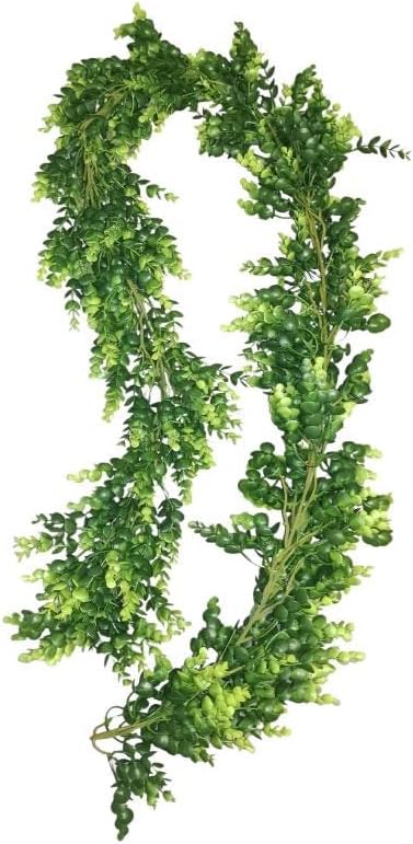 Guirnalda de boj de 6'