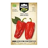 Bio Samen - Paprika Reus