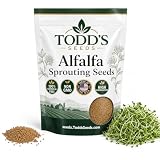 Todd's Seeds Alfalfa Sprouting Seeds, 1/4 lb – Non-GMO, USA Grown