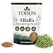 Chemical Free Alfalfa Sprout Seeds -1 Lb- Seeds For: Salad Sprouts & Sprouting - Can Be Grown in Any Sprouter